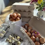 Rosenhaus 3 Schwarzenberg im Bregenzerwald