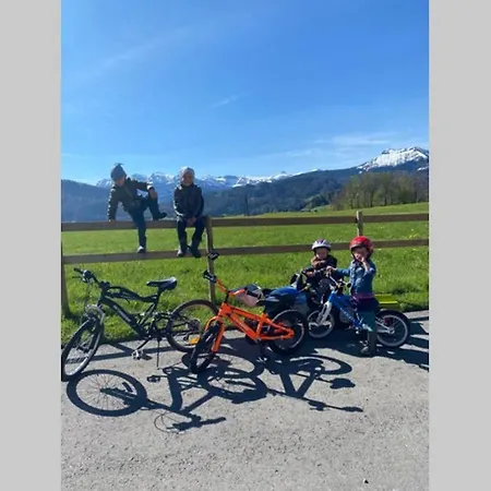 Rosenhaus 3 Apartman Schwarzenberg im Bregenzerwald