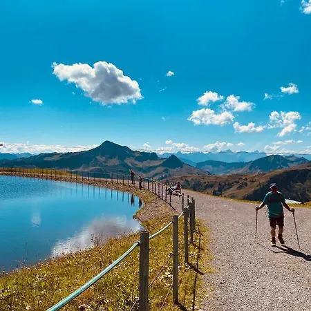 Rosenhaus 3 * Schwarzenberg im Bregenzerwald